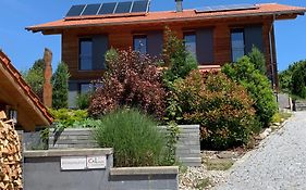 CaLegna Ferienchalet